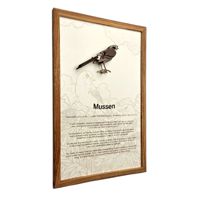 Mussen Poster