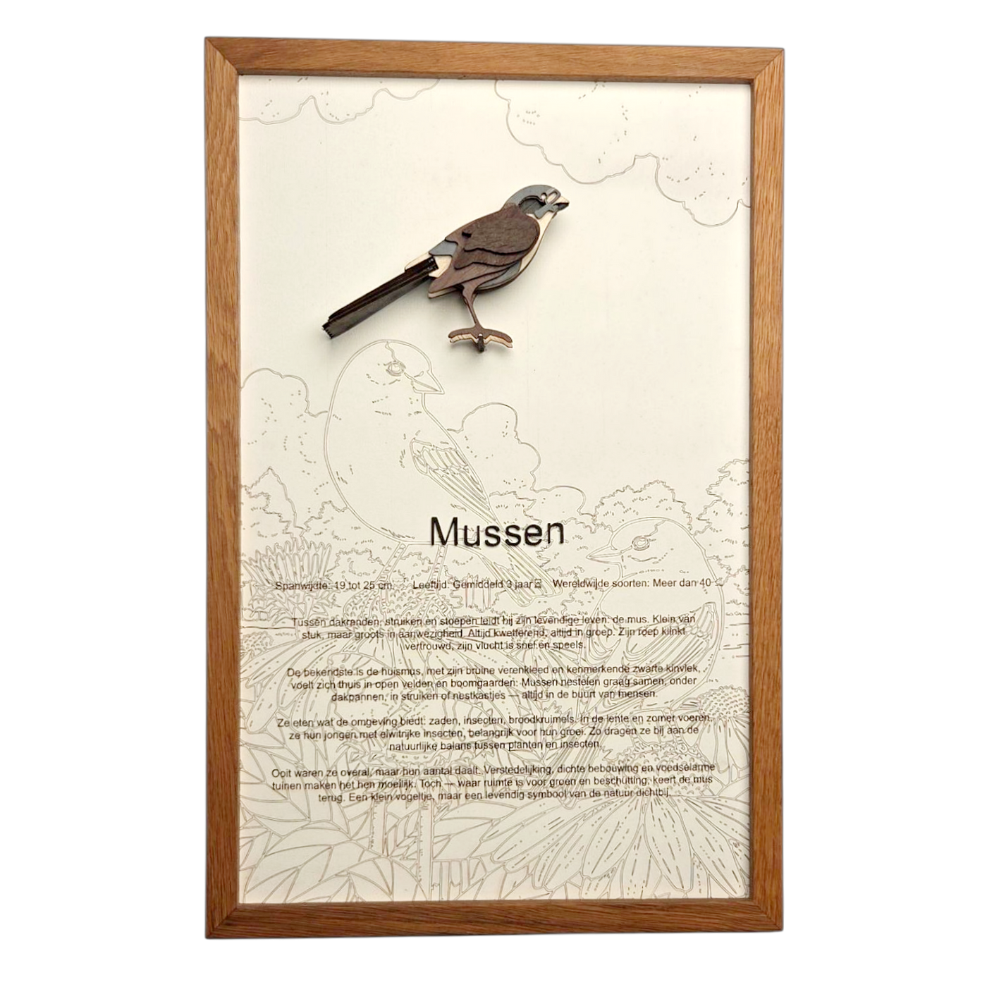 Mussen Poster
