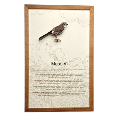 Mussen Poster