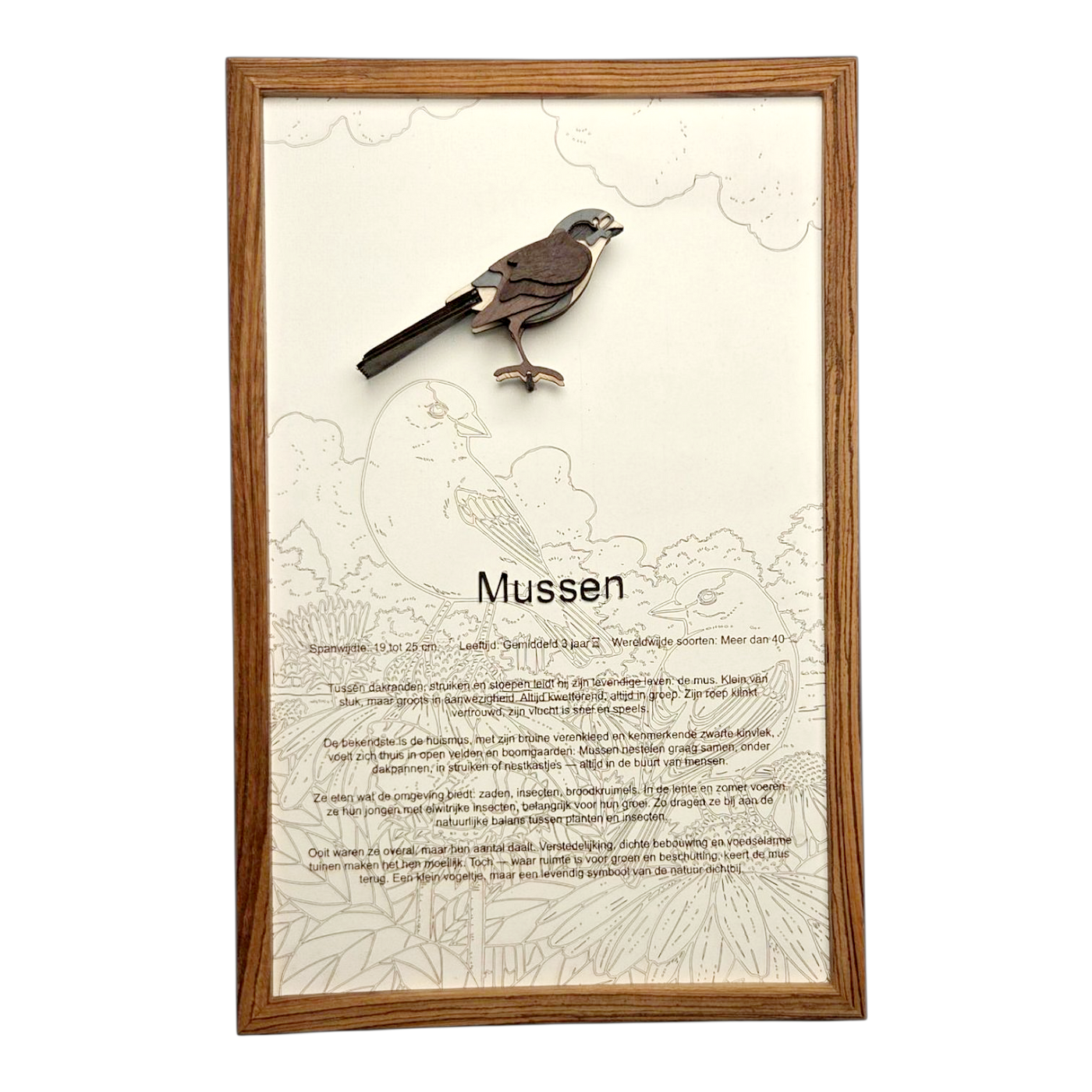 Mussen Poster