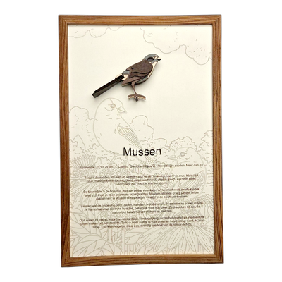 Mussen Poster