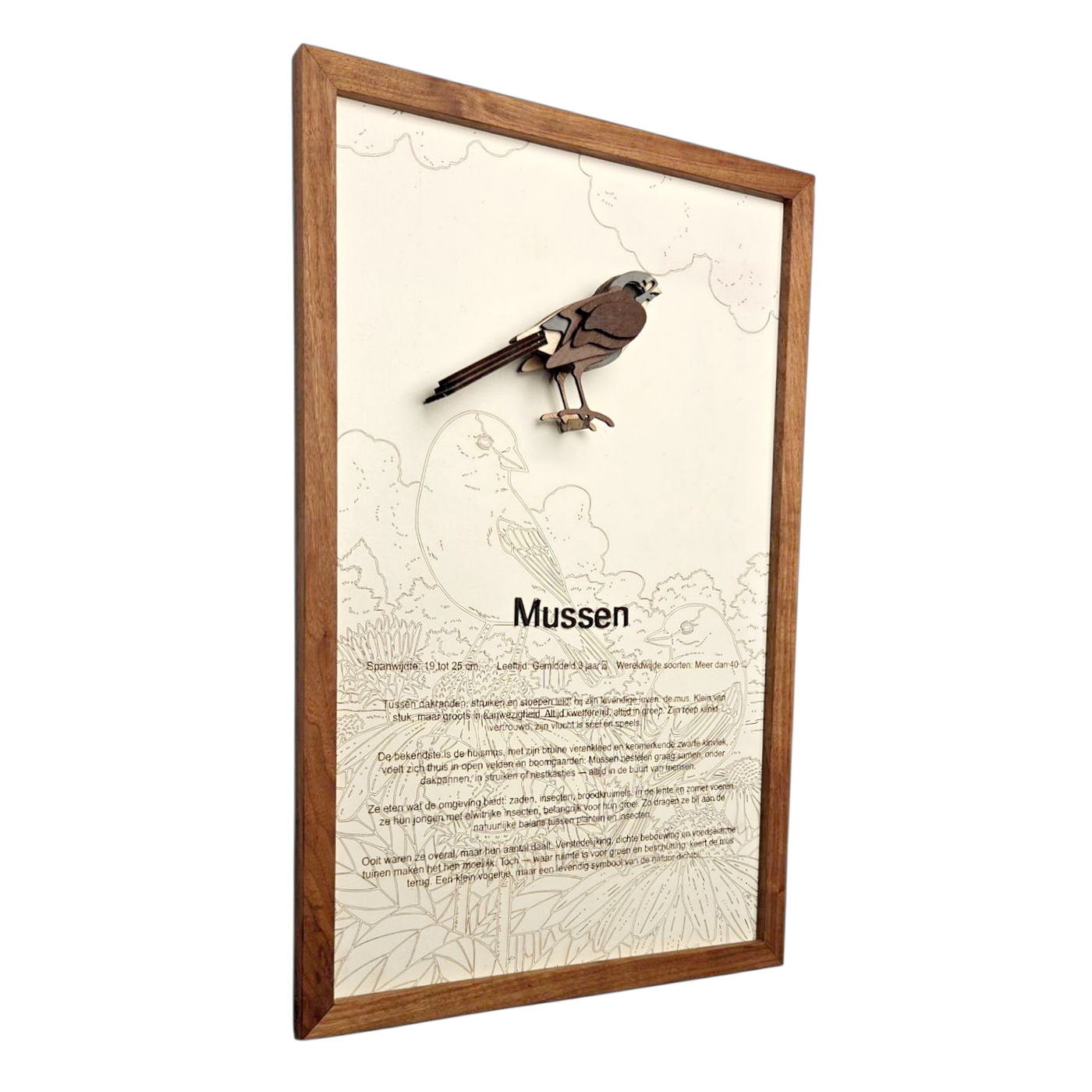Mussen Poster