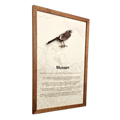 Mussen Poster