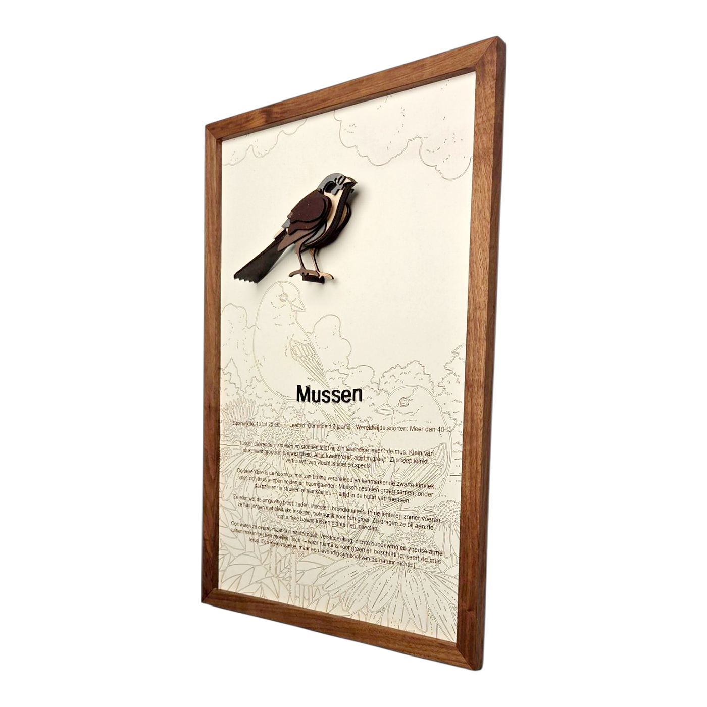 Mussen Poster