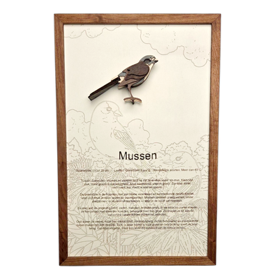 Jouw custom poster