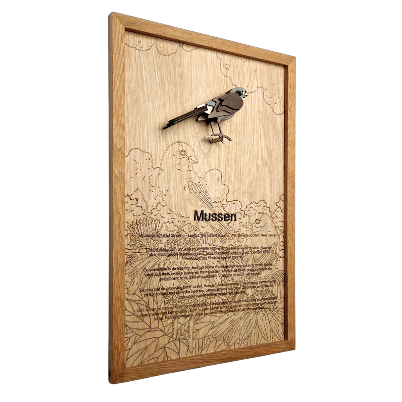 Mussen Poster