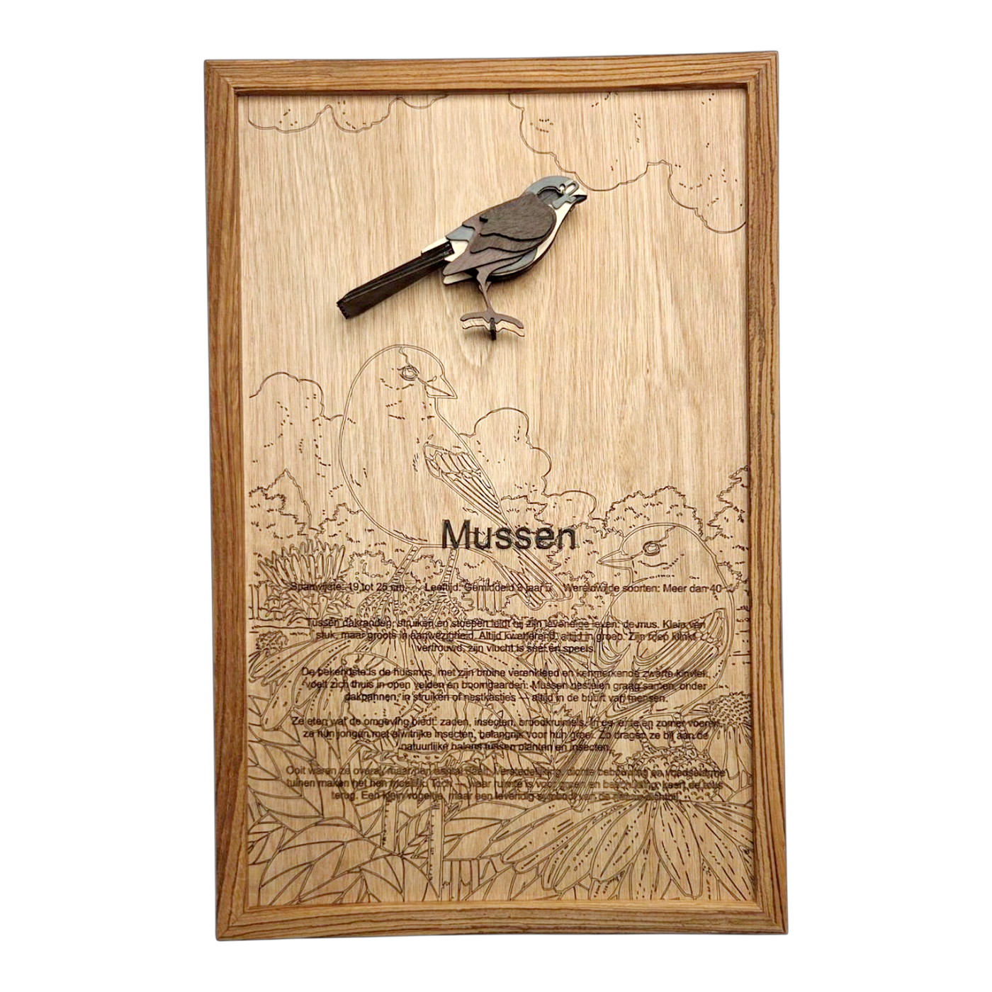 Mussen Poster