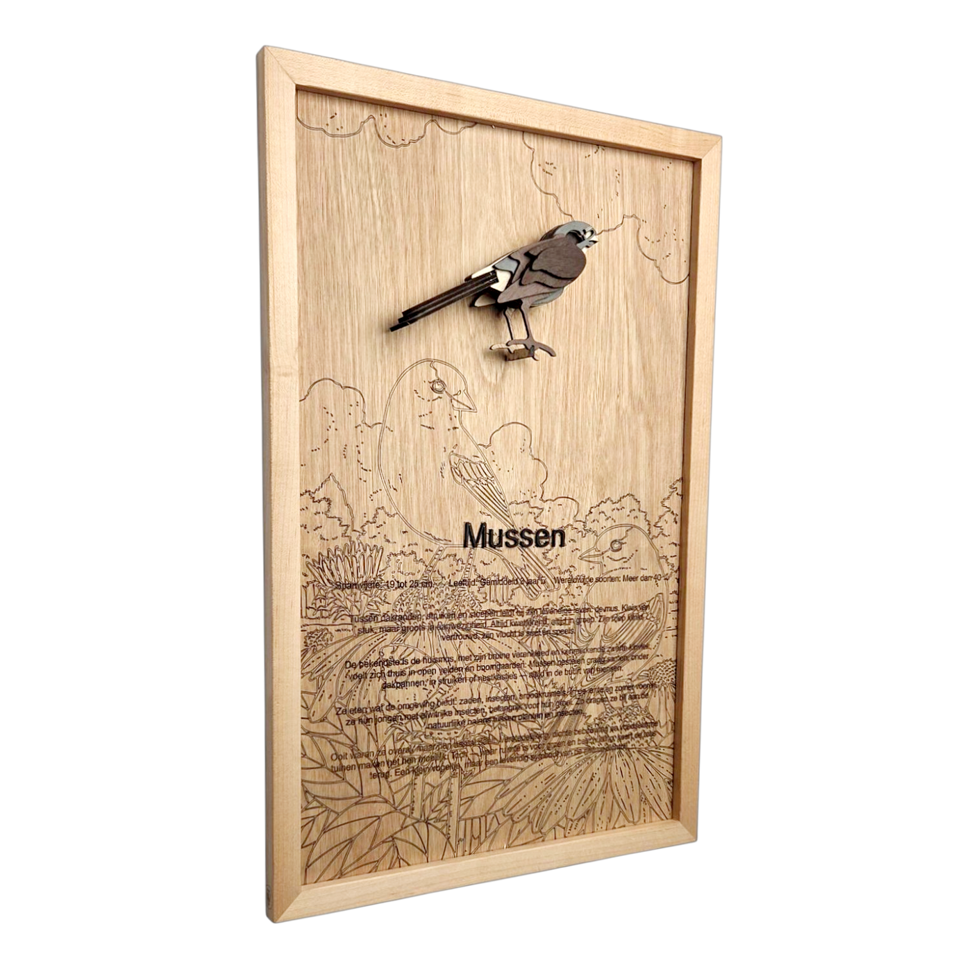 Mussen Poster