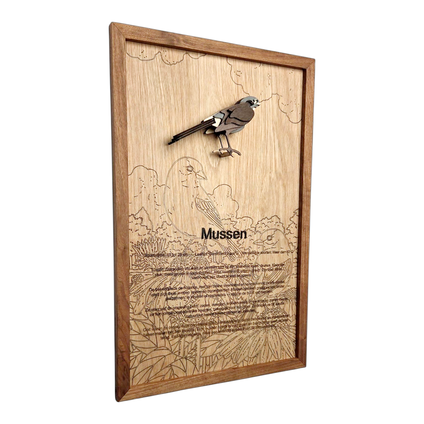Mussen Poster