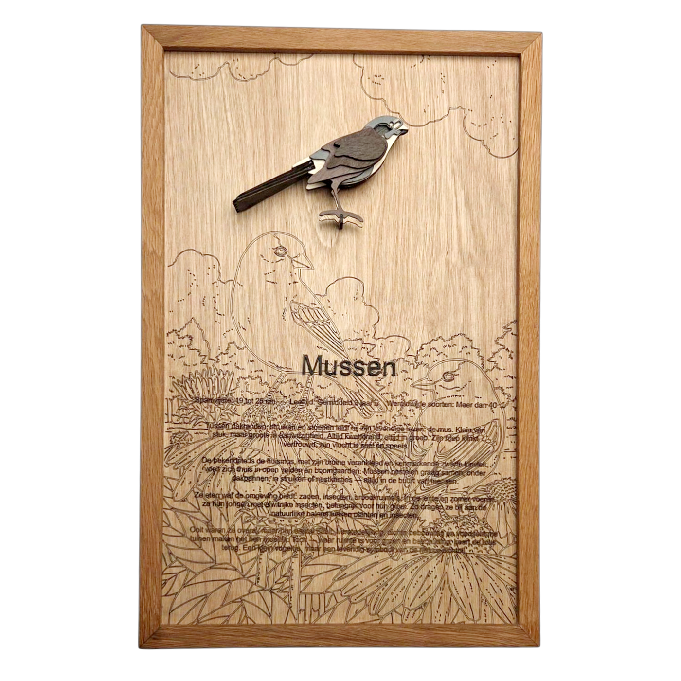 Mussen Poster