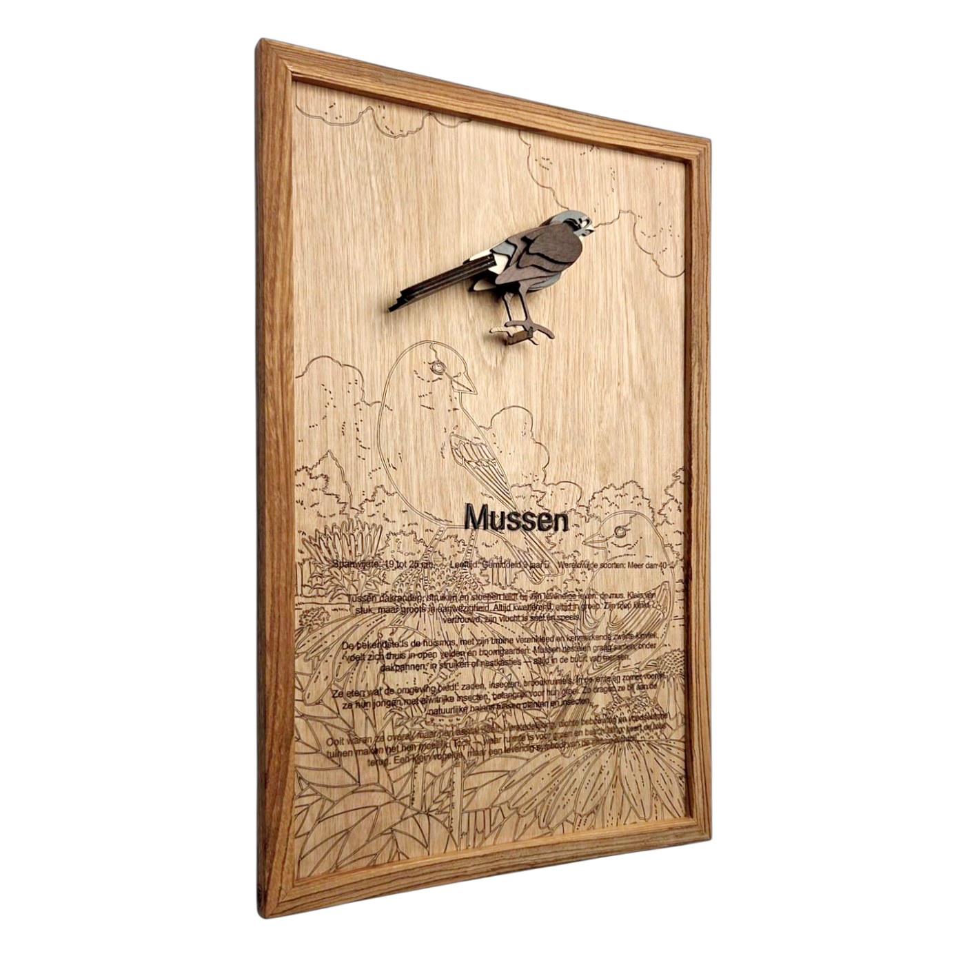 Mussen Poster