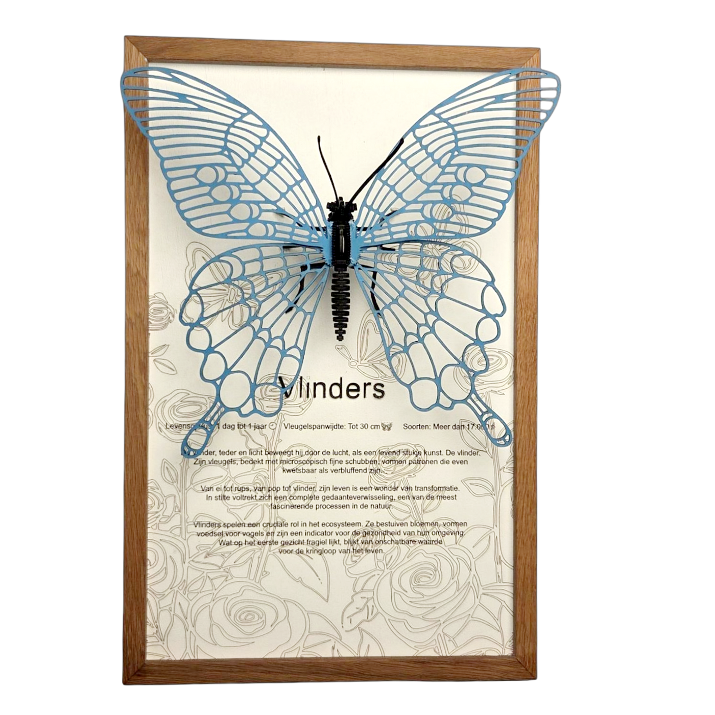 Vlinder Poster