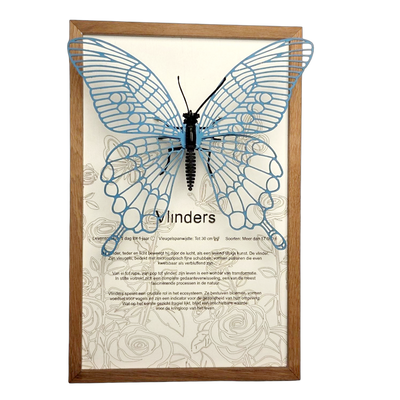 Vlinder Poster
