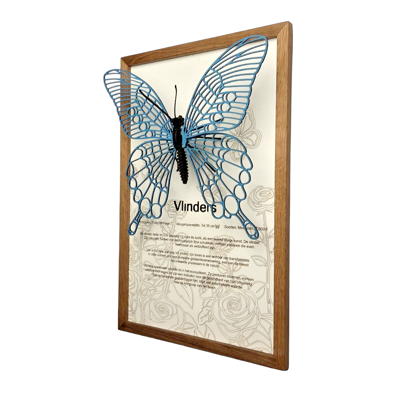 Vlinder Poster