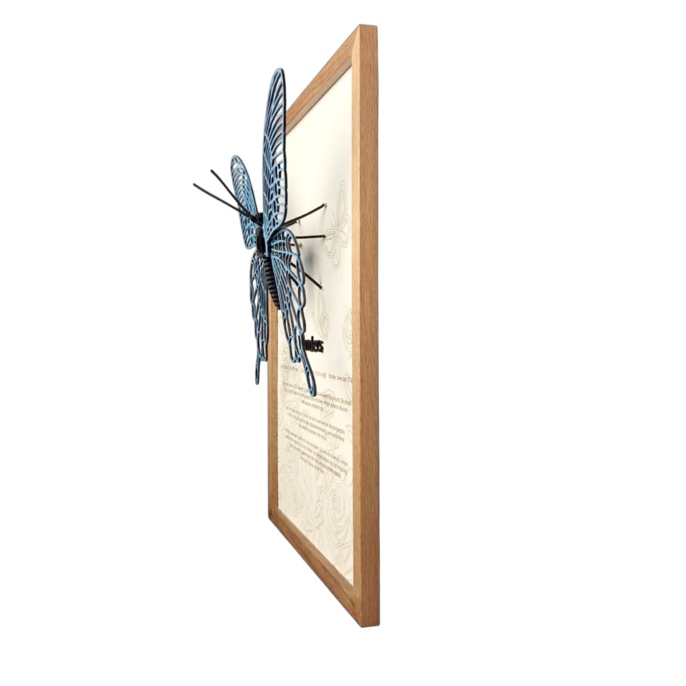 Vlinder Poster