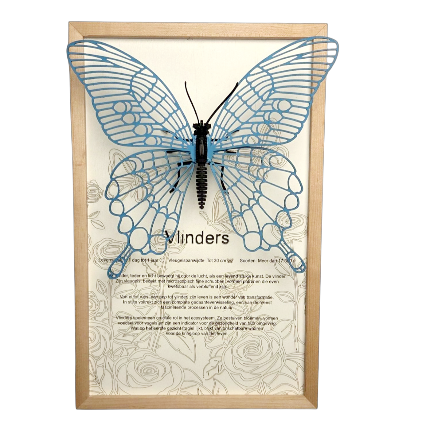 Vlinder Poster