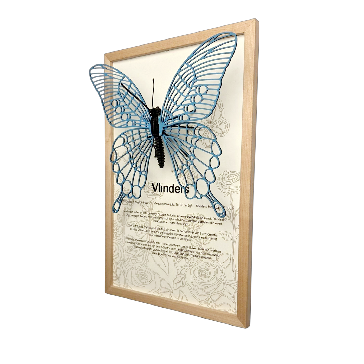 Vlinder Poster