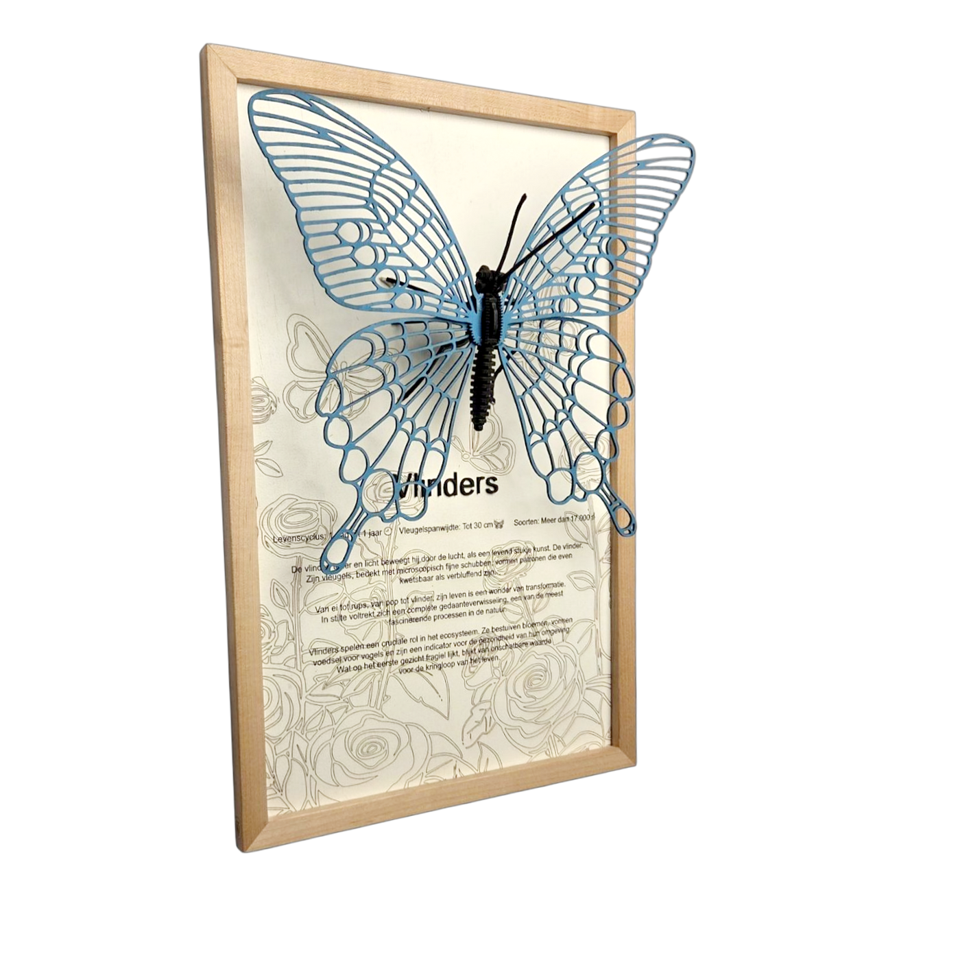 Vlinder Poster