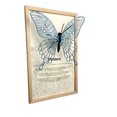 Vlinder Poster