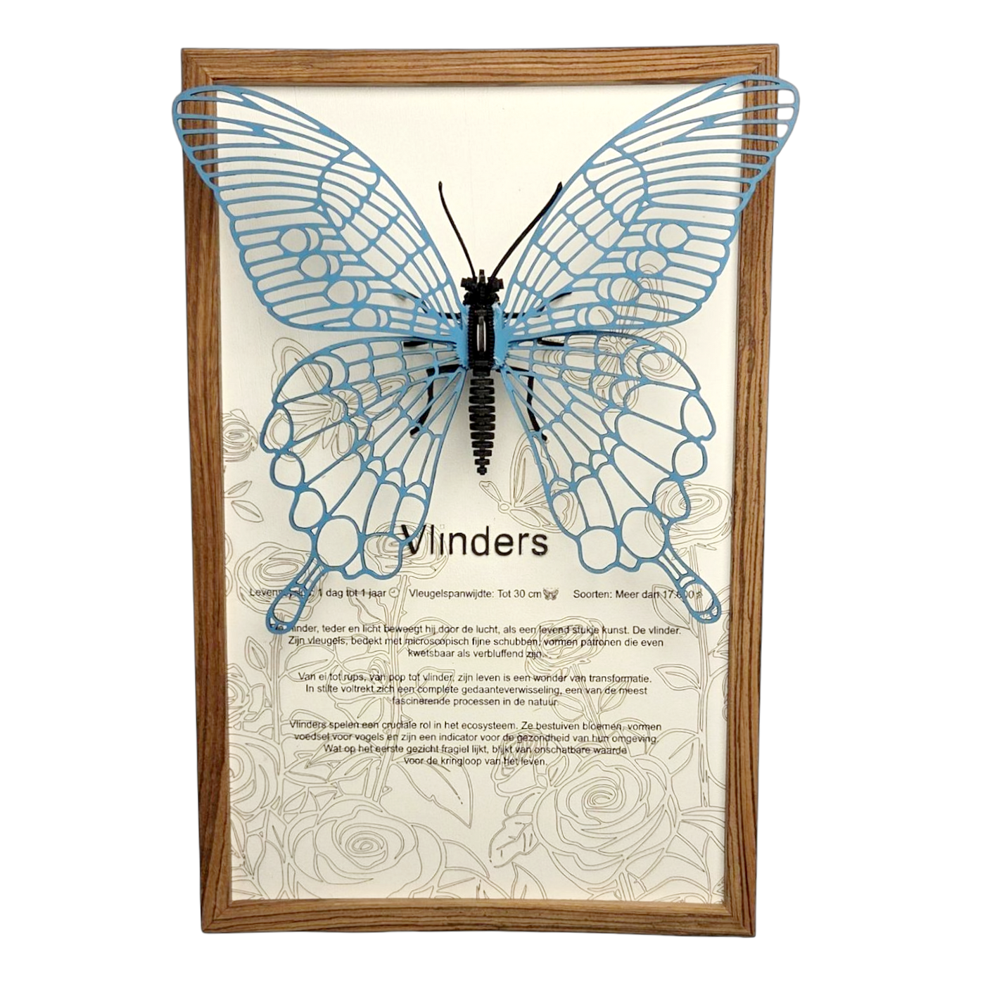 Vlinder Poster