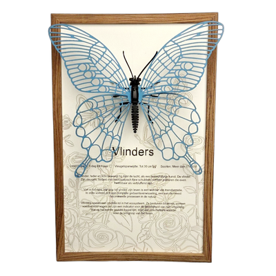 Vlinder Poster