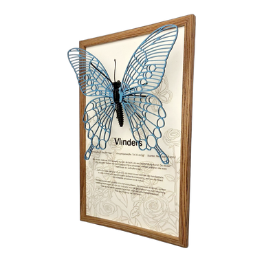Vlinder Poster