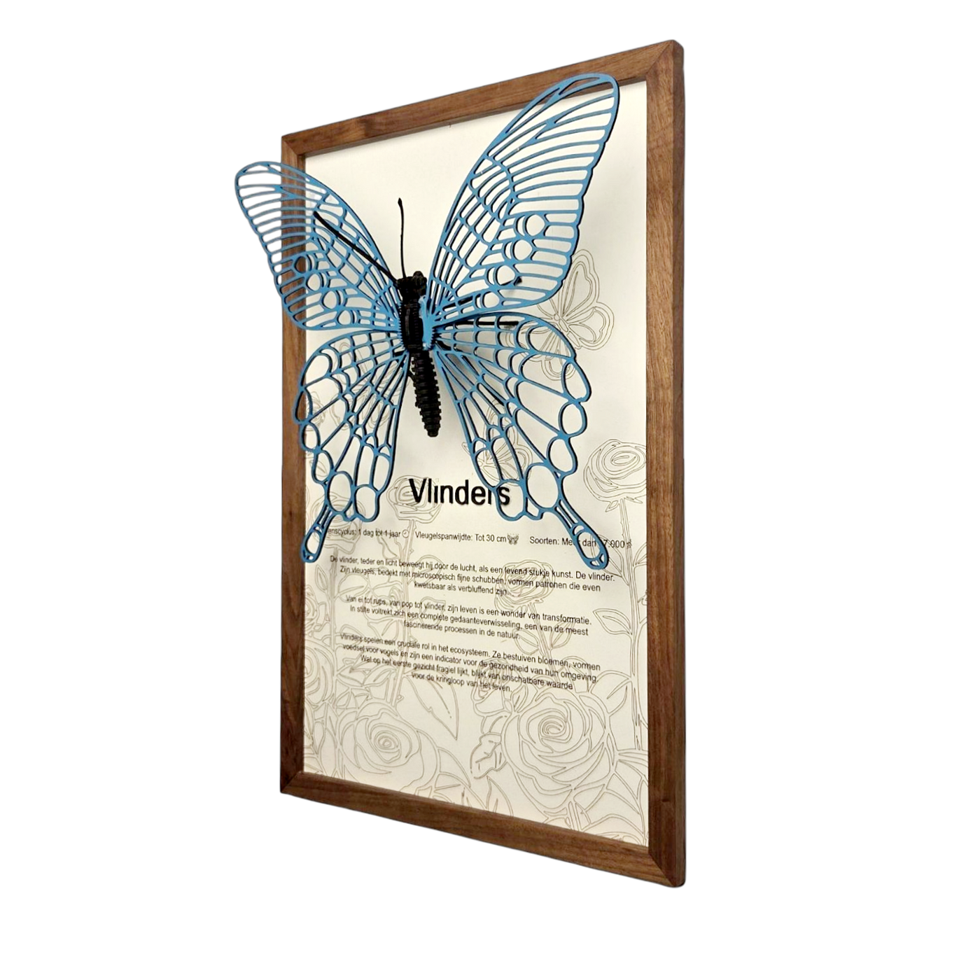 Vlinder Poster