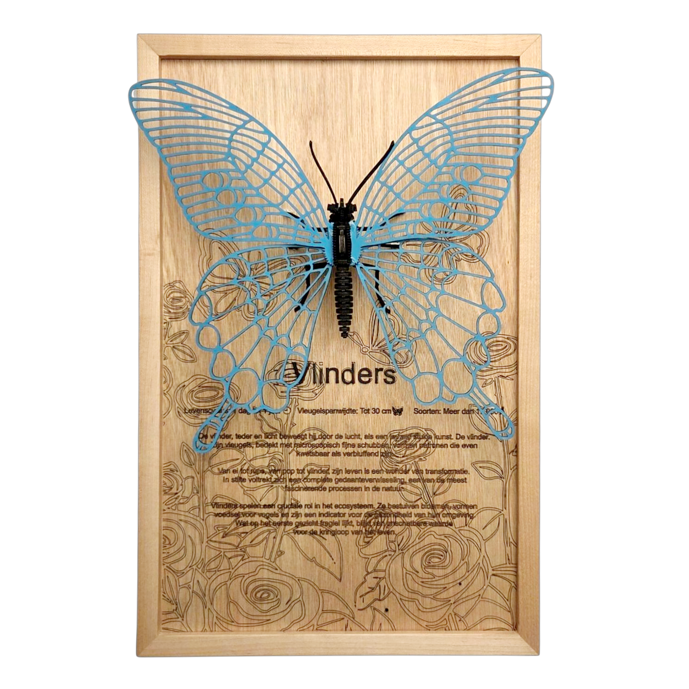 Vlinder Poster