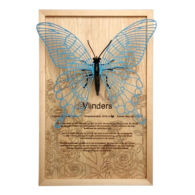 Vlinder Poster