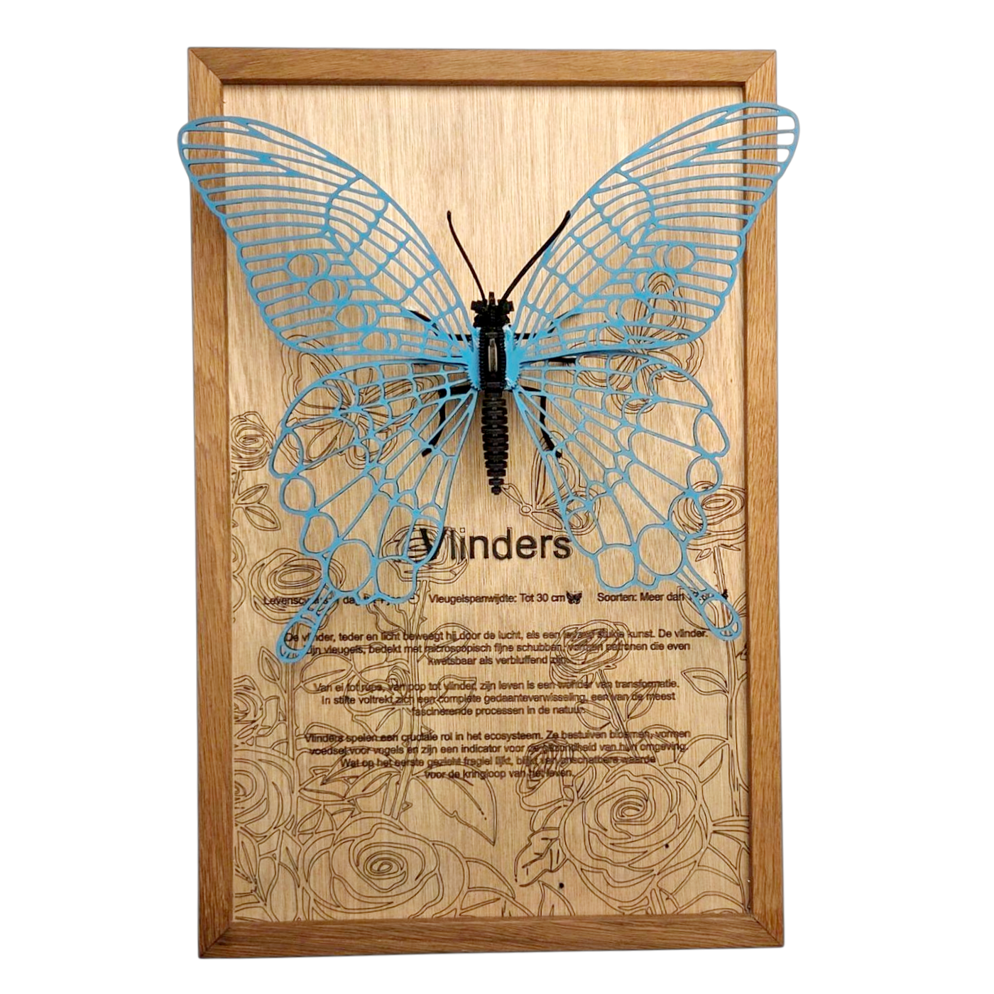 Vlinder Poster