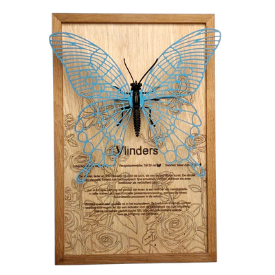 Vlinder Poster