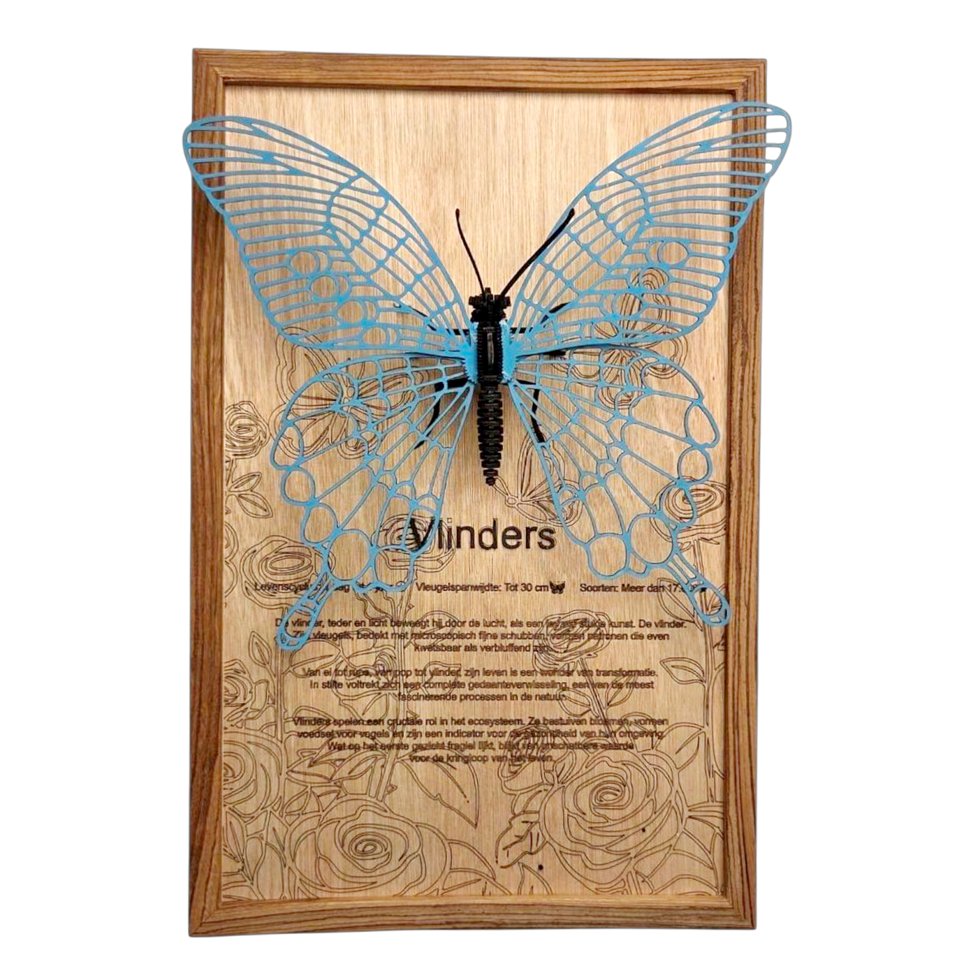 Vlinder Poster
