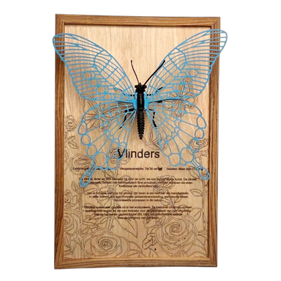Vlinder Poster