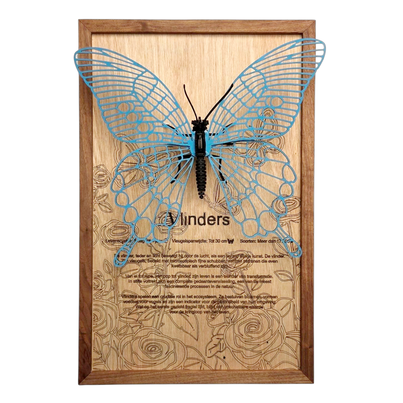 Vlinder Poster