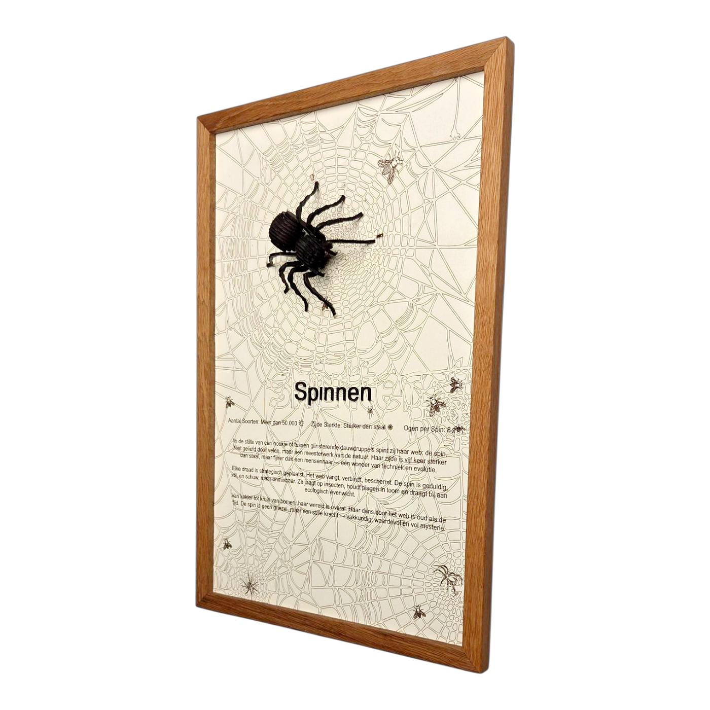 Handgemaakte houten spin poster met 3D ontwerp en massief houten lijst