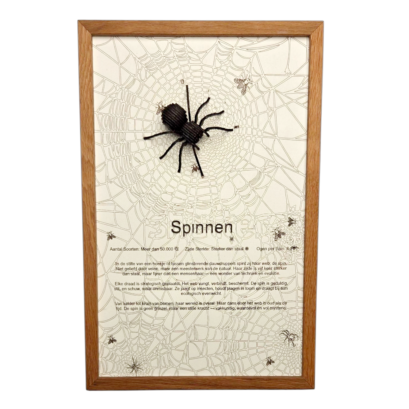 Handgemaakte houten spin poster met 3D ontwerp en massief houten lijst.
