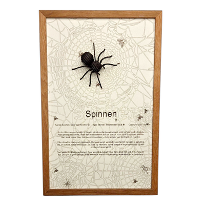 Handgemaakte houten spin poster met 3D ontwerp en massief houten lijst.